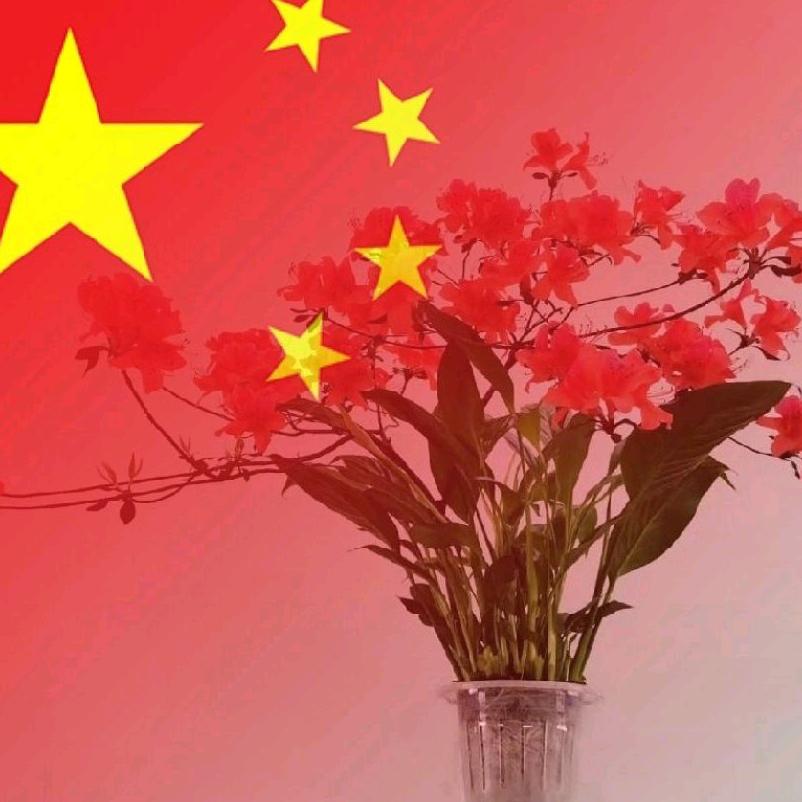 半支烟