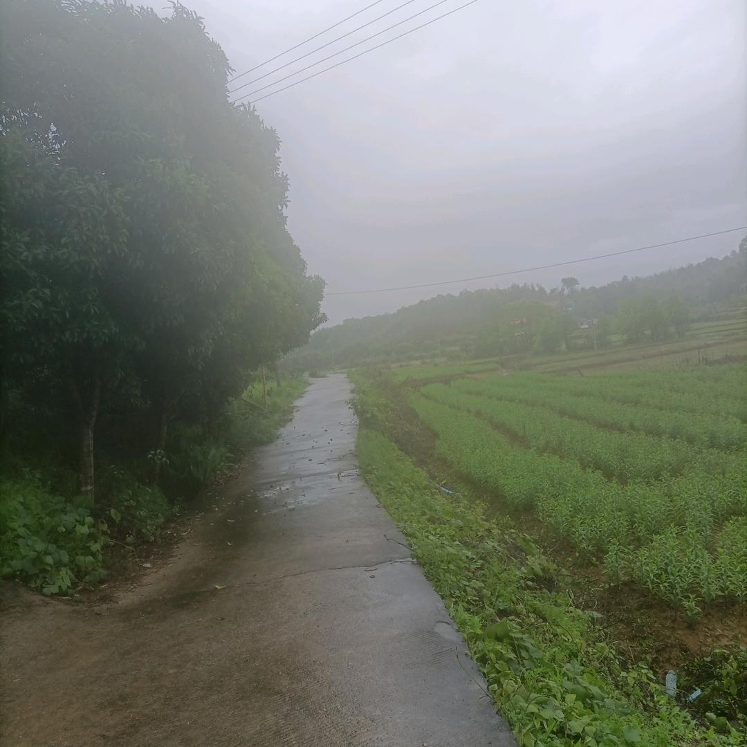 带你飞
