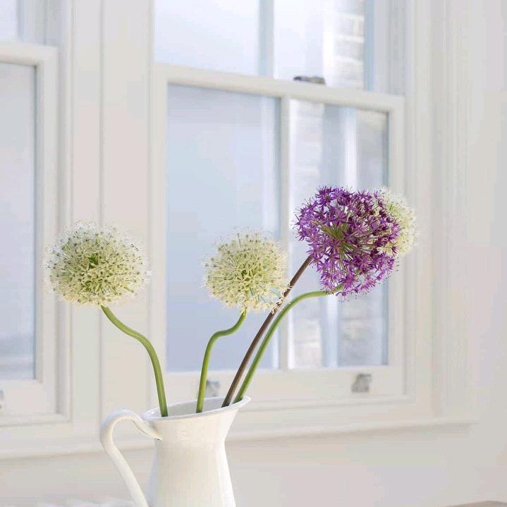 🍀幸运草🍀🌾