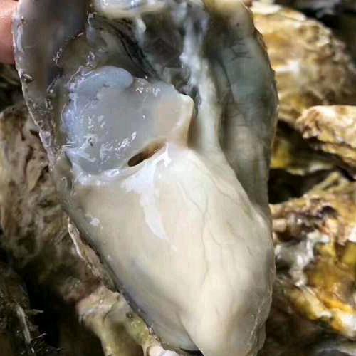 牧海人鲁滨逊