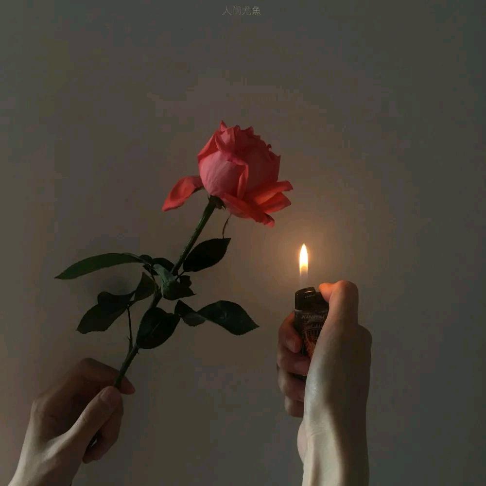 -及時行樂