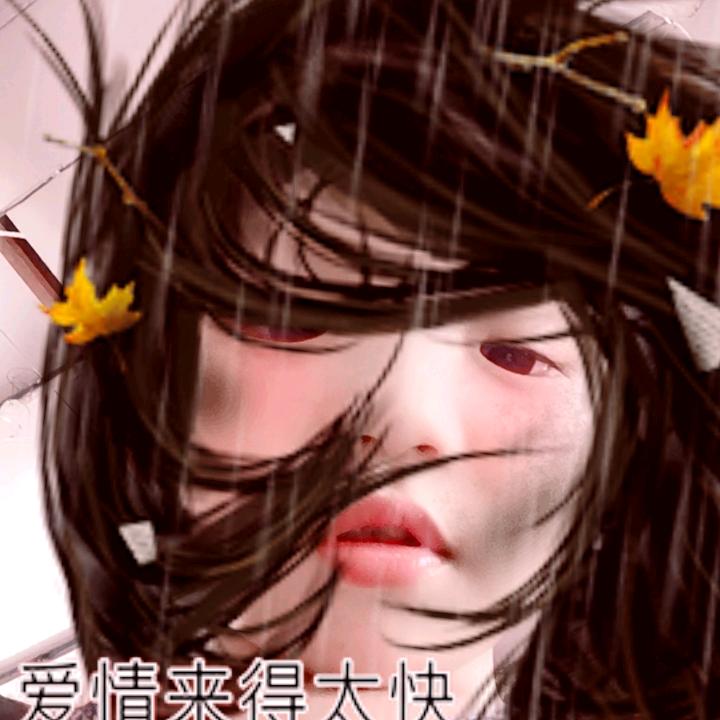 紫曦IIN