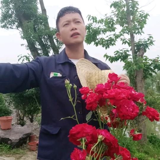 168果果