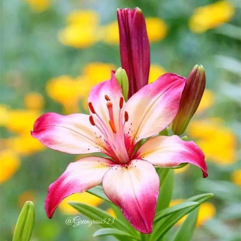 曾经的你，归属了回忆