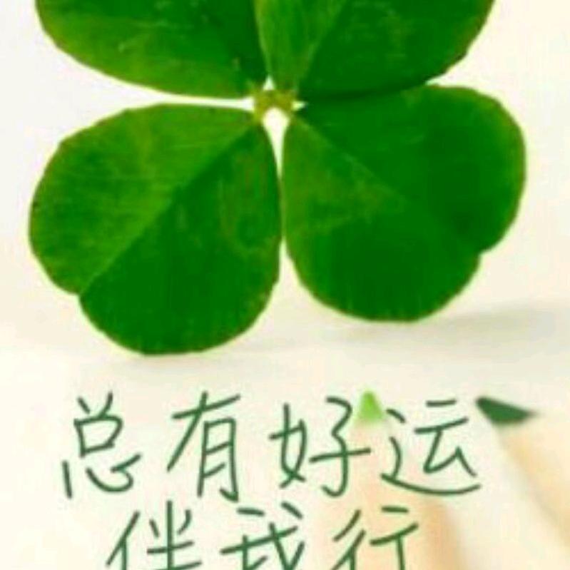 小淘米养发馆头疗师王