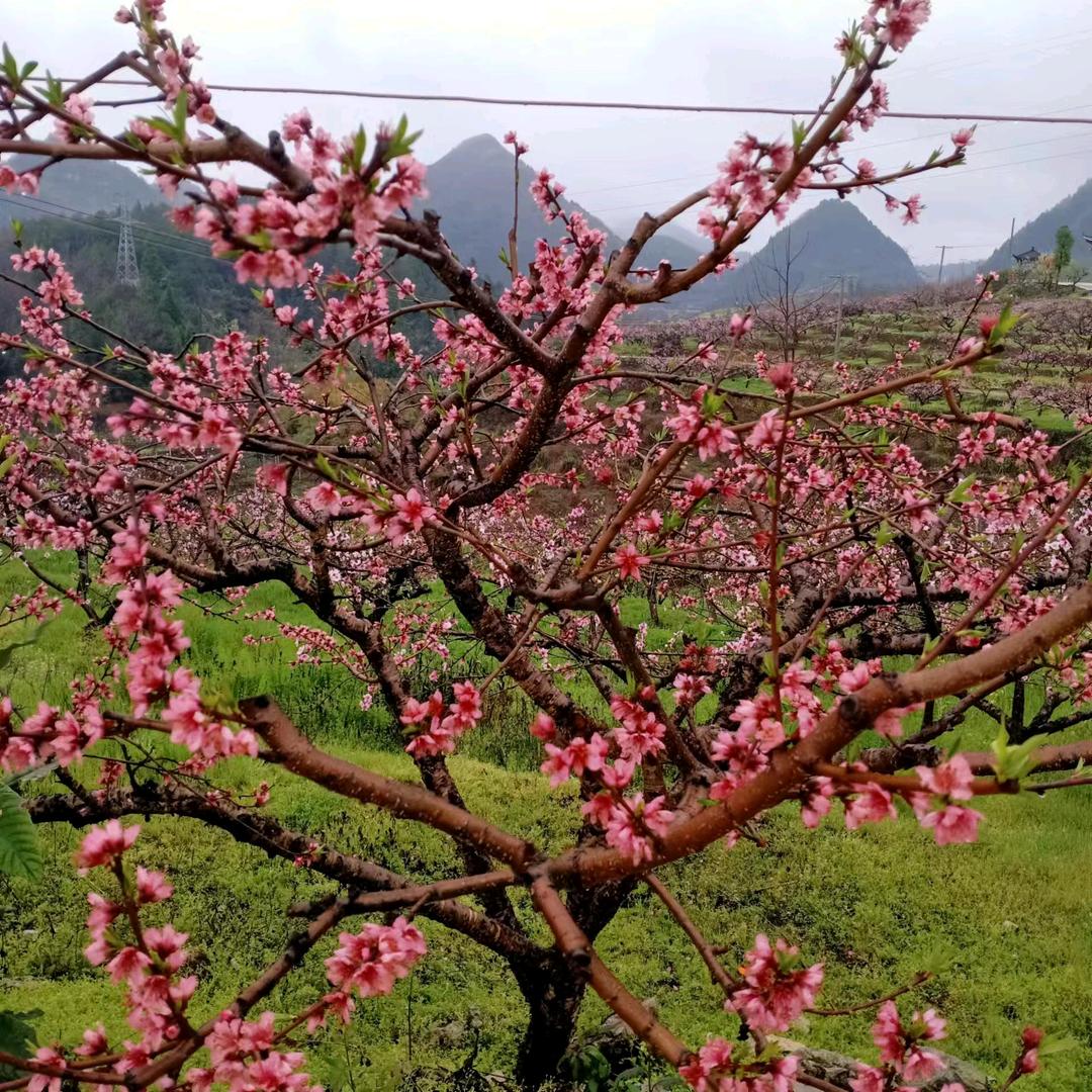 李雪双《互》