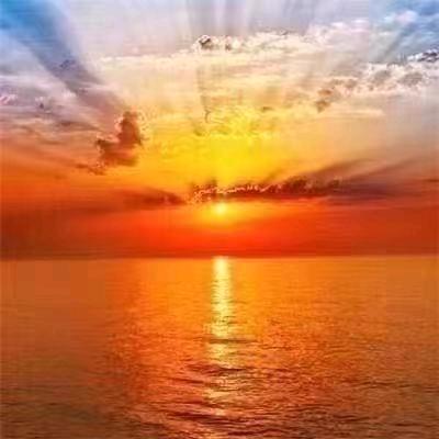 狼来了，羊跑了