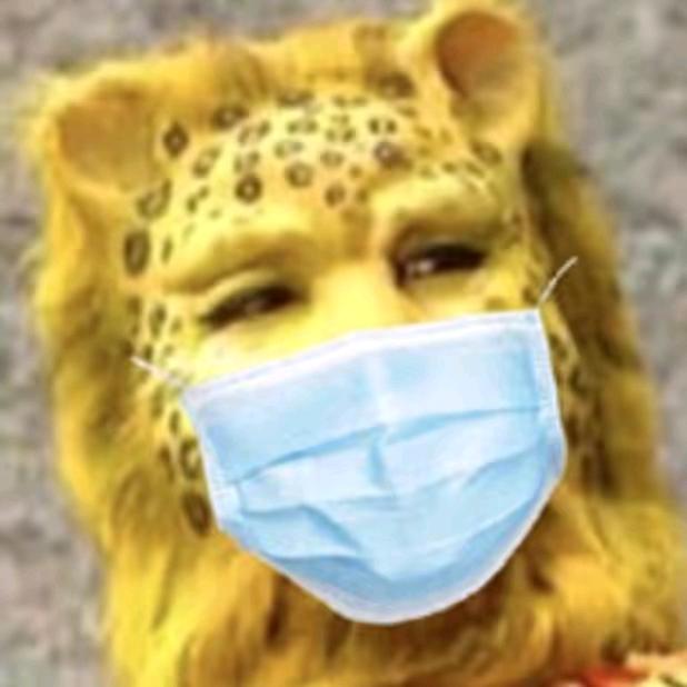 🌈（爱妻：代三金）