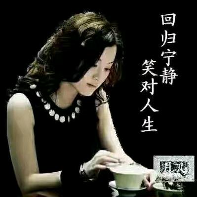 吉星高赵