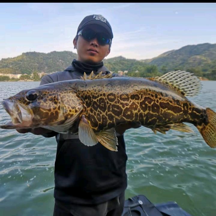 鲁野沈海文