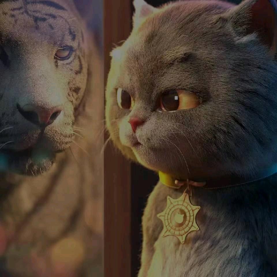 🌈DNF阿文（严选）