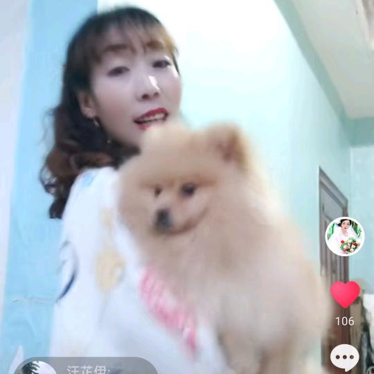 …满天星