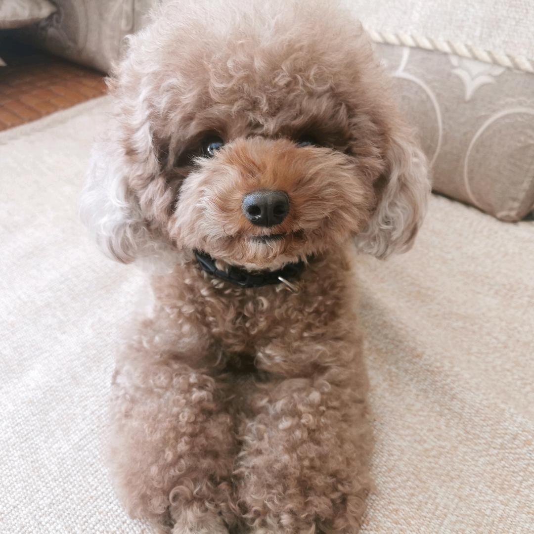 小葵麻麻👩
