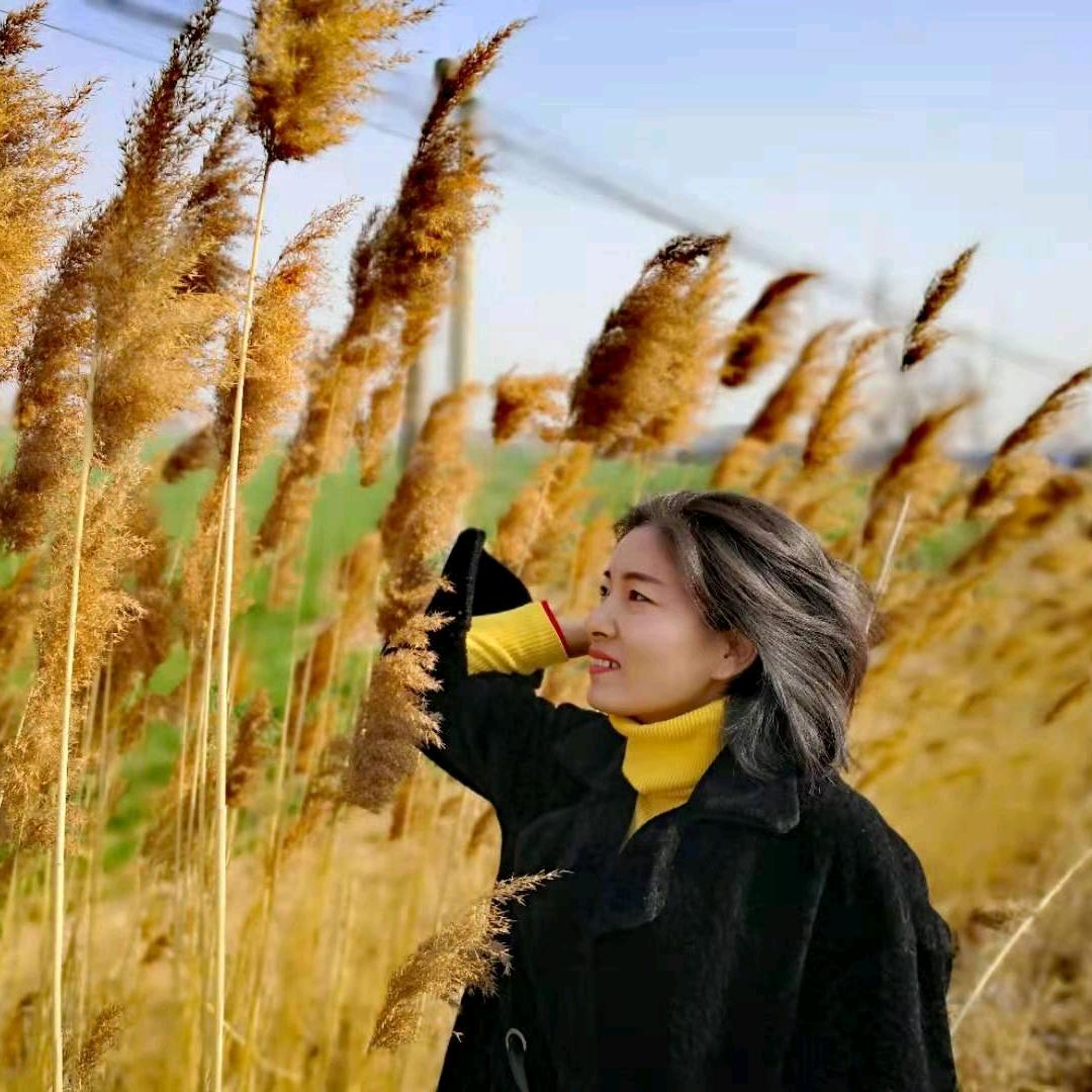 板面姐姐🍀