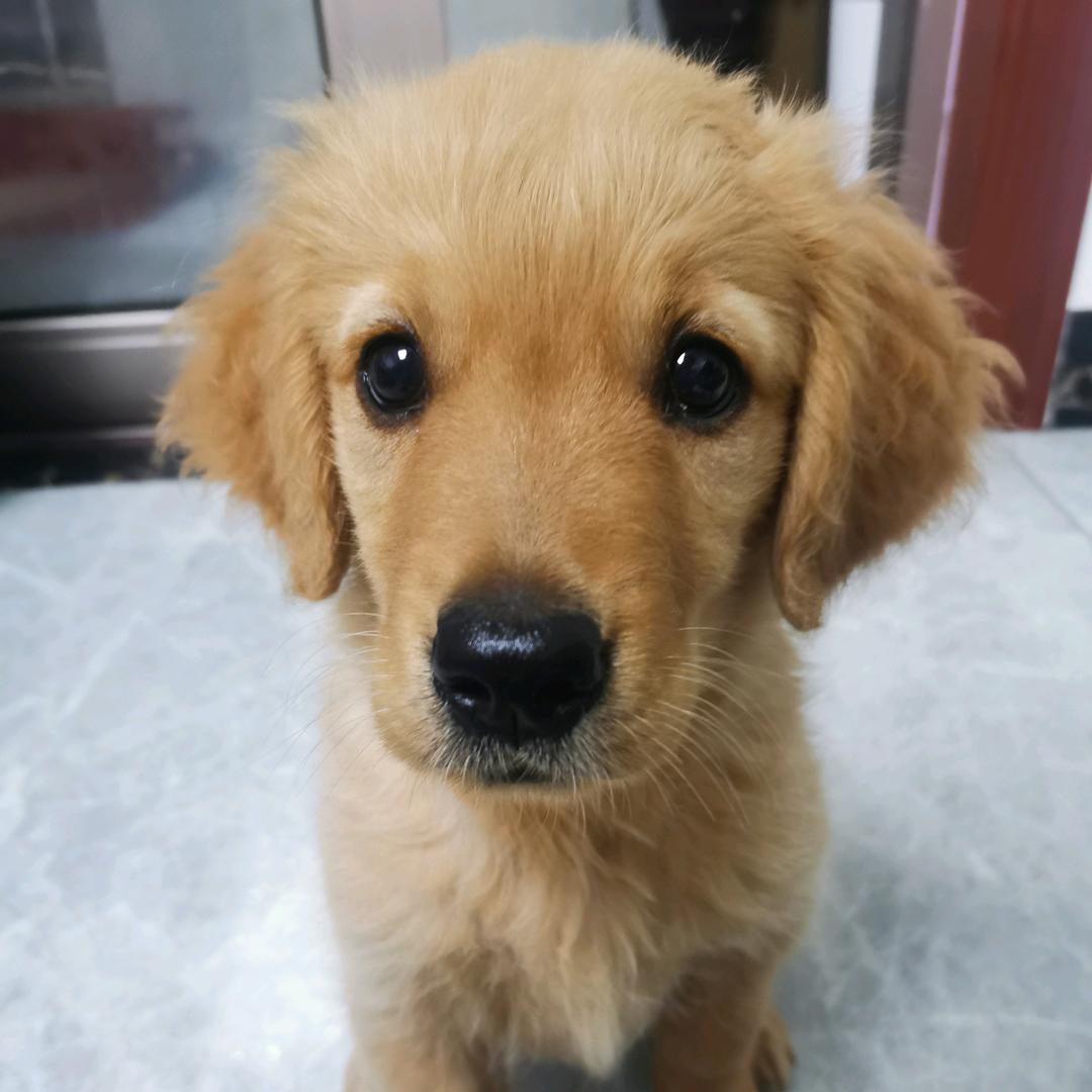 Coco子的经纪人!