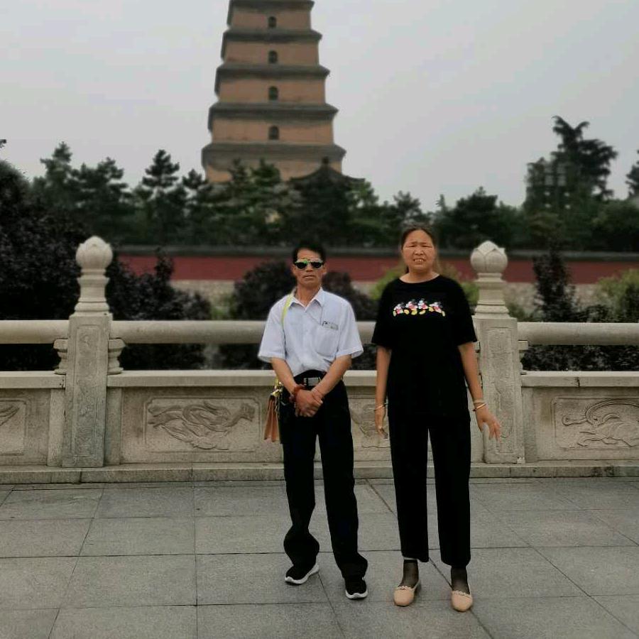 陕西忒阳