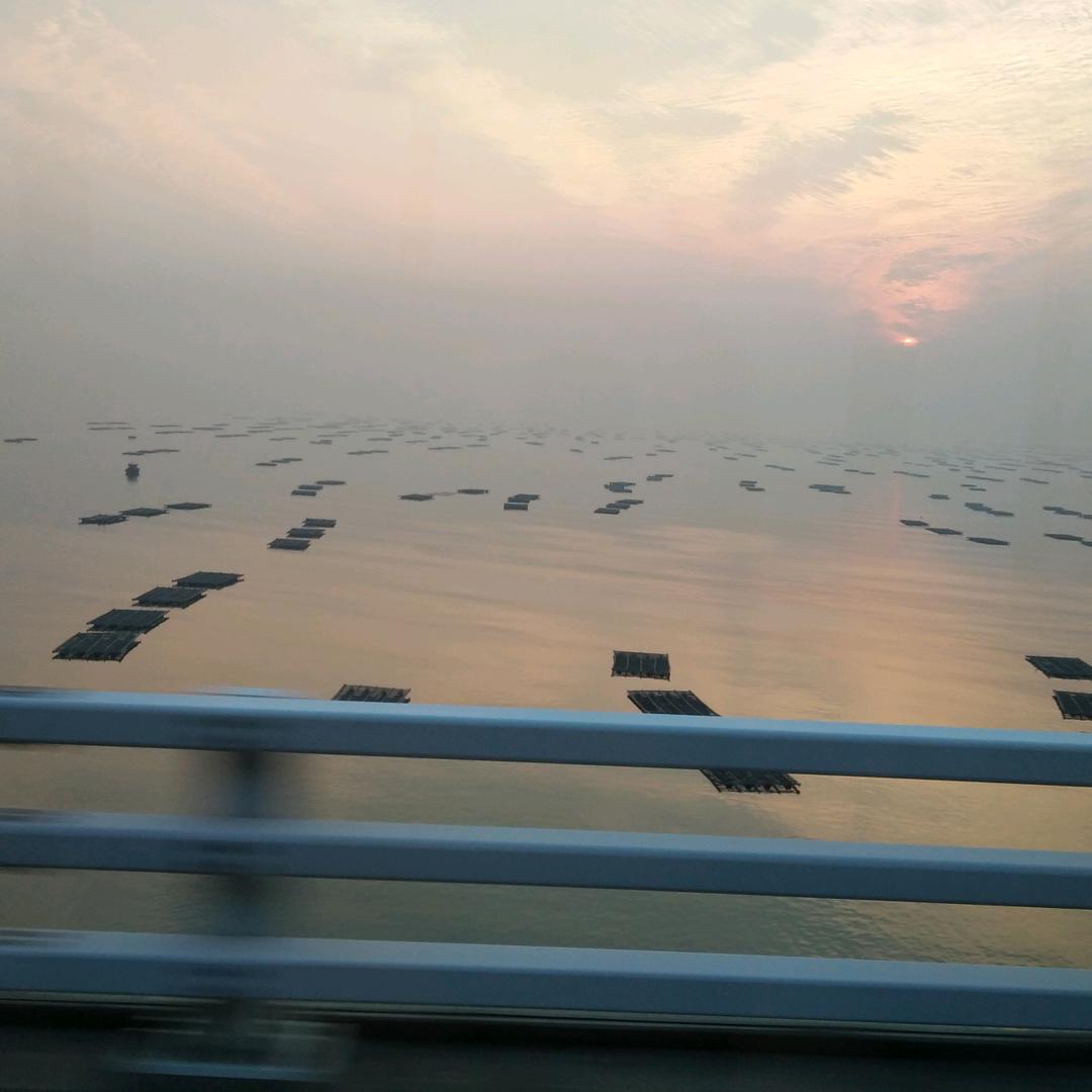 小番茄