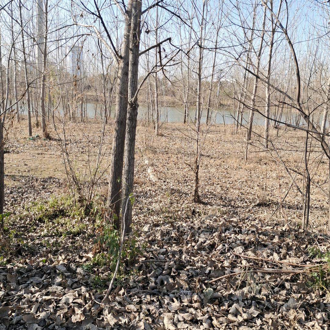 恒伟，天行健，君子自强不息