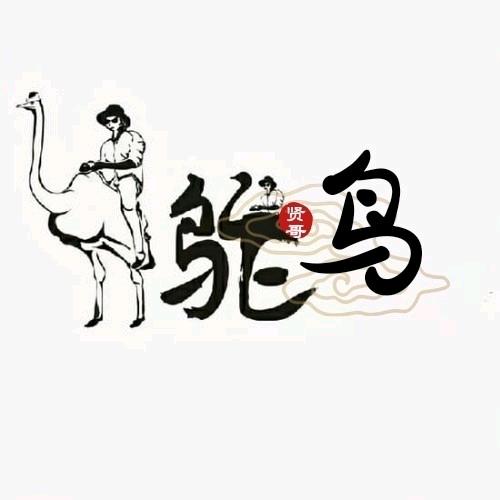 贤哥骑乘鸵鸟