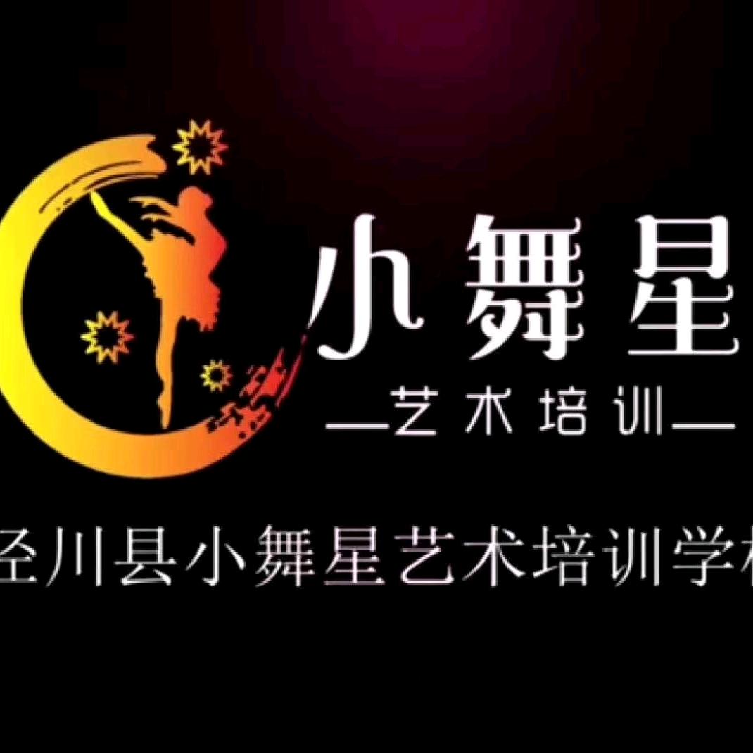 泾川县小舞星艺术培训学校有限公司