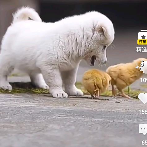 习惯了一个人