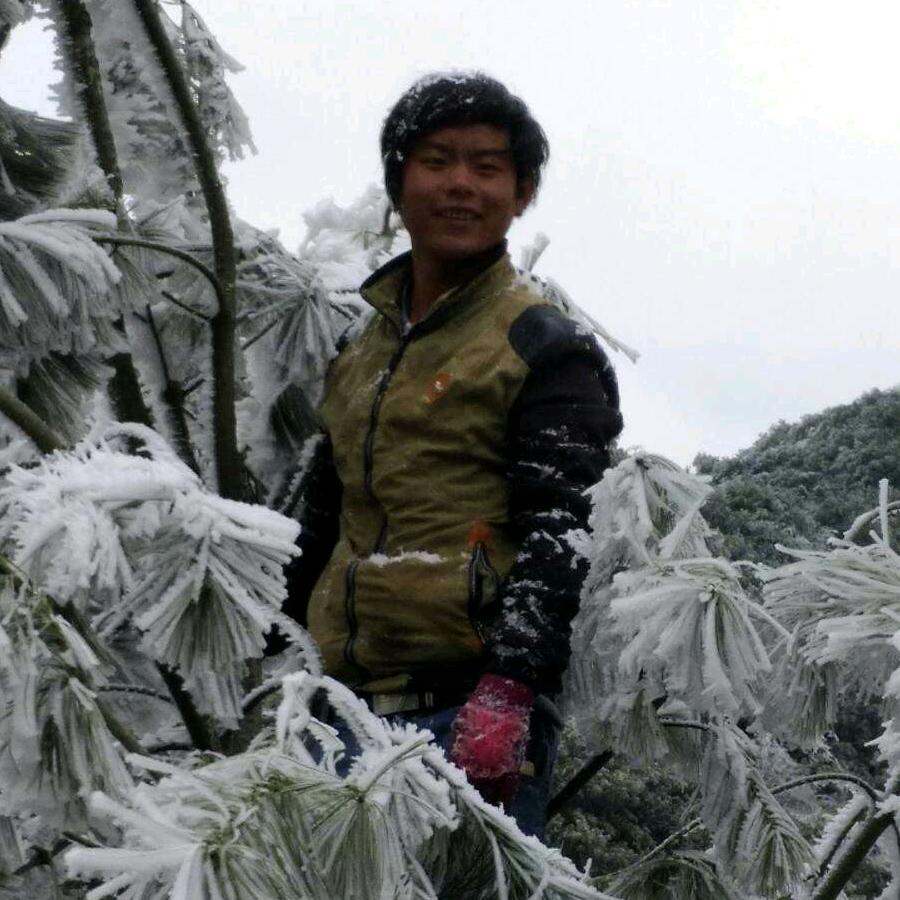 聪