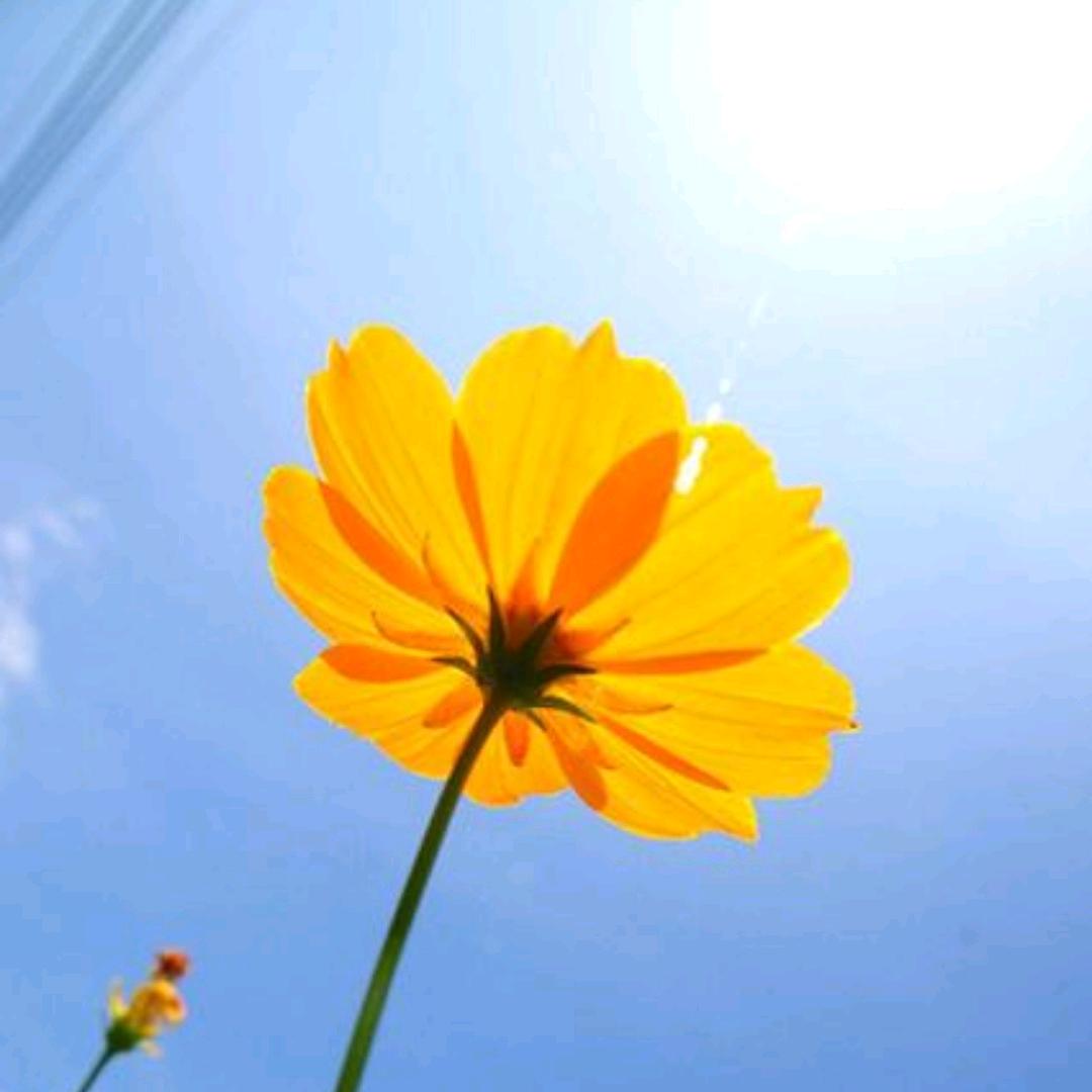问号