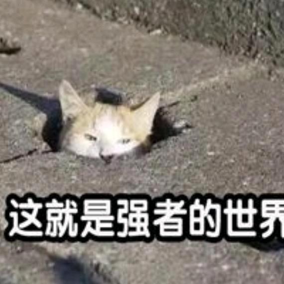 上大学不开心（我去实习）