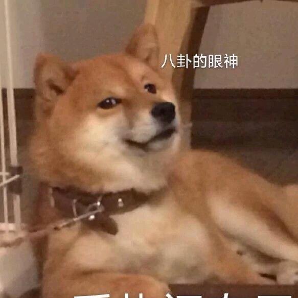 小宋今天戒酒了吗？🌈