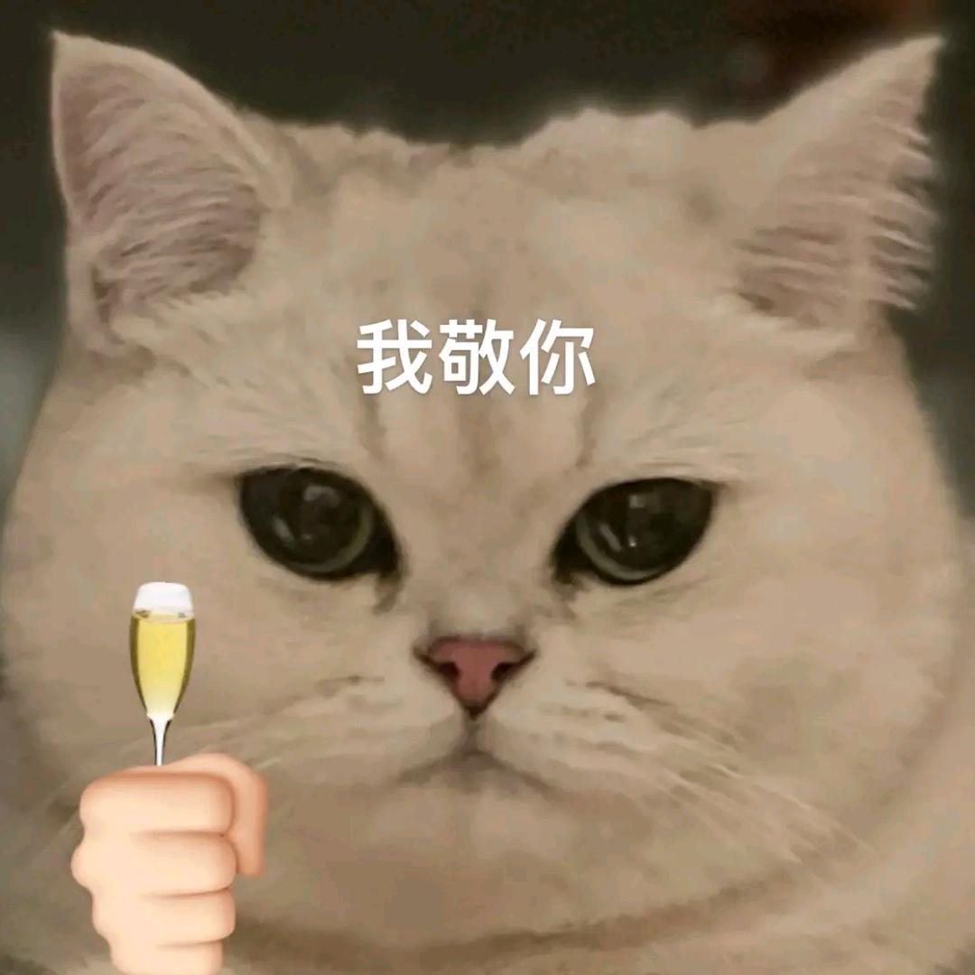 蝶乱花