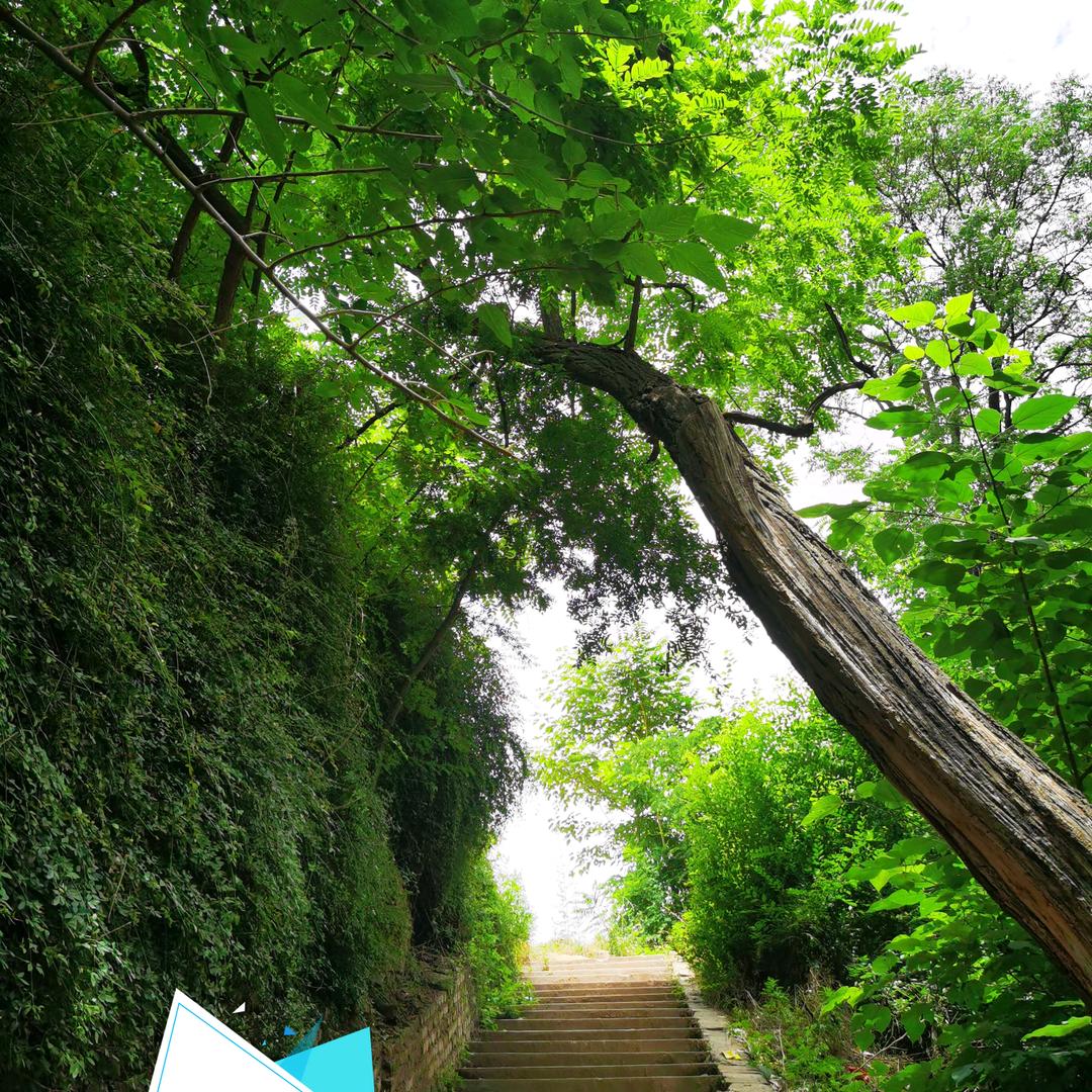 行走在春夏秋冬