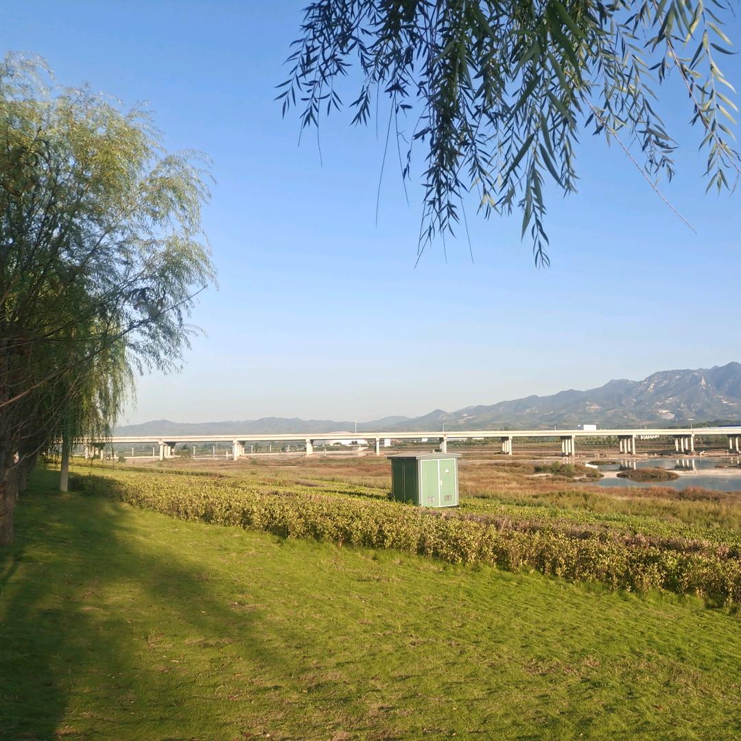 太空步–捌零音乐