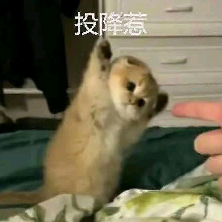 辣椒炒肉好吃