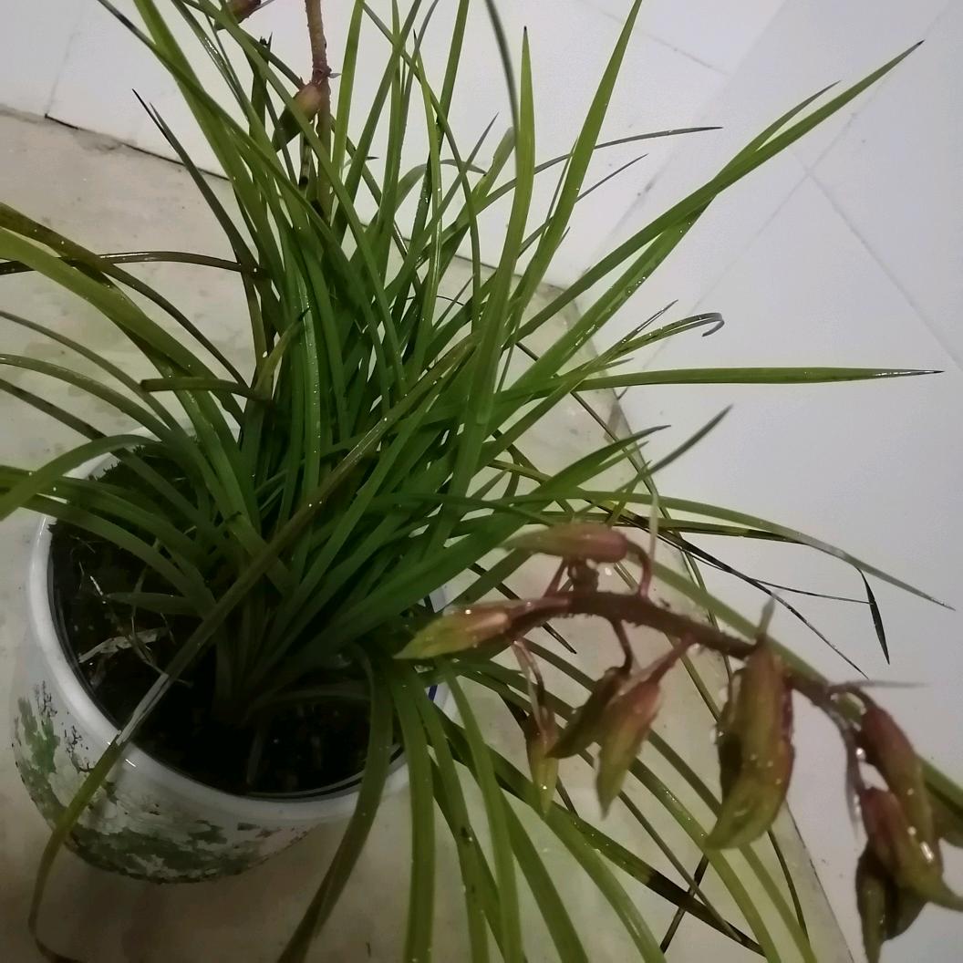 前进的力量