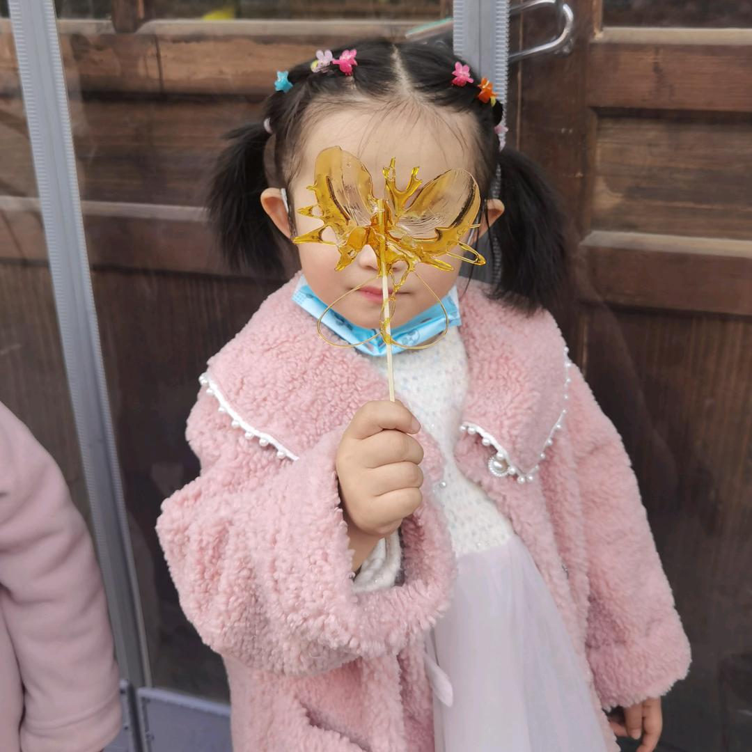 妞妞会飞的猪🐷