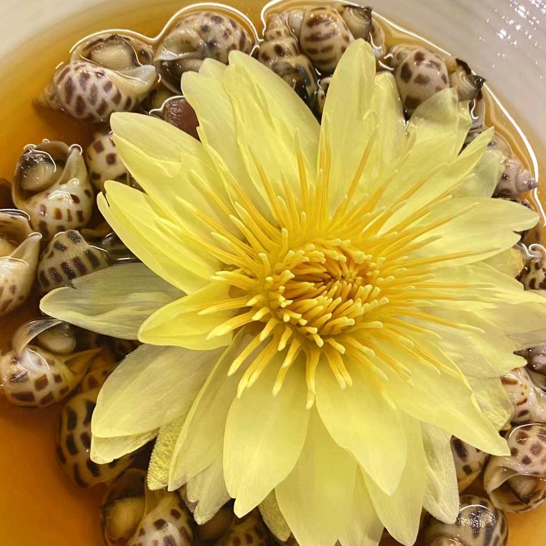 大得兴淮扬菜