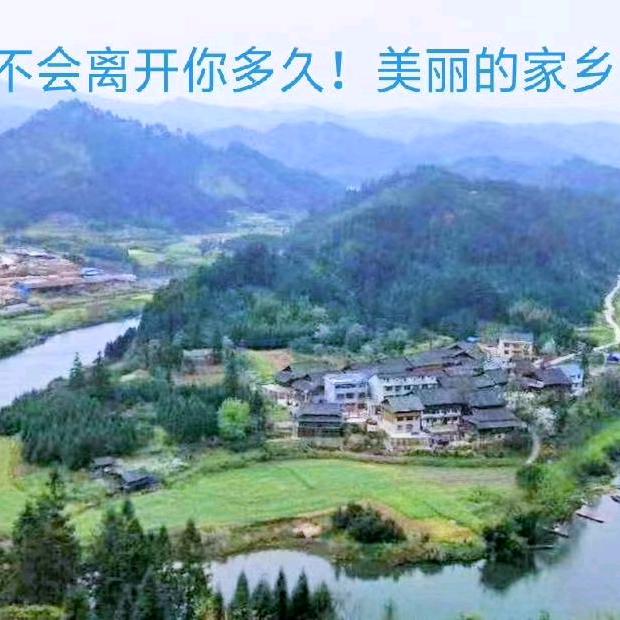 鱼郎哥