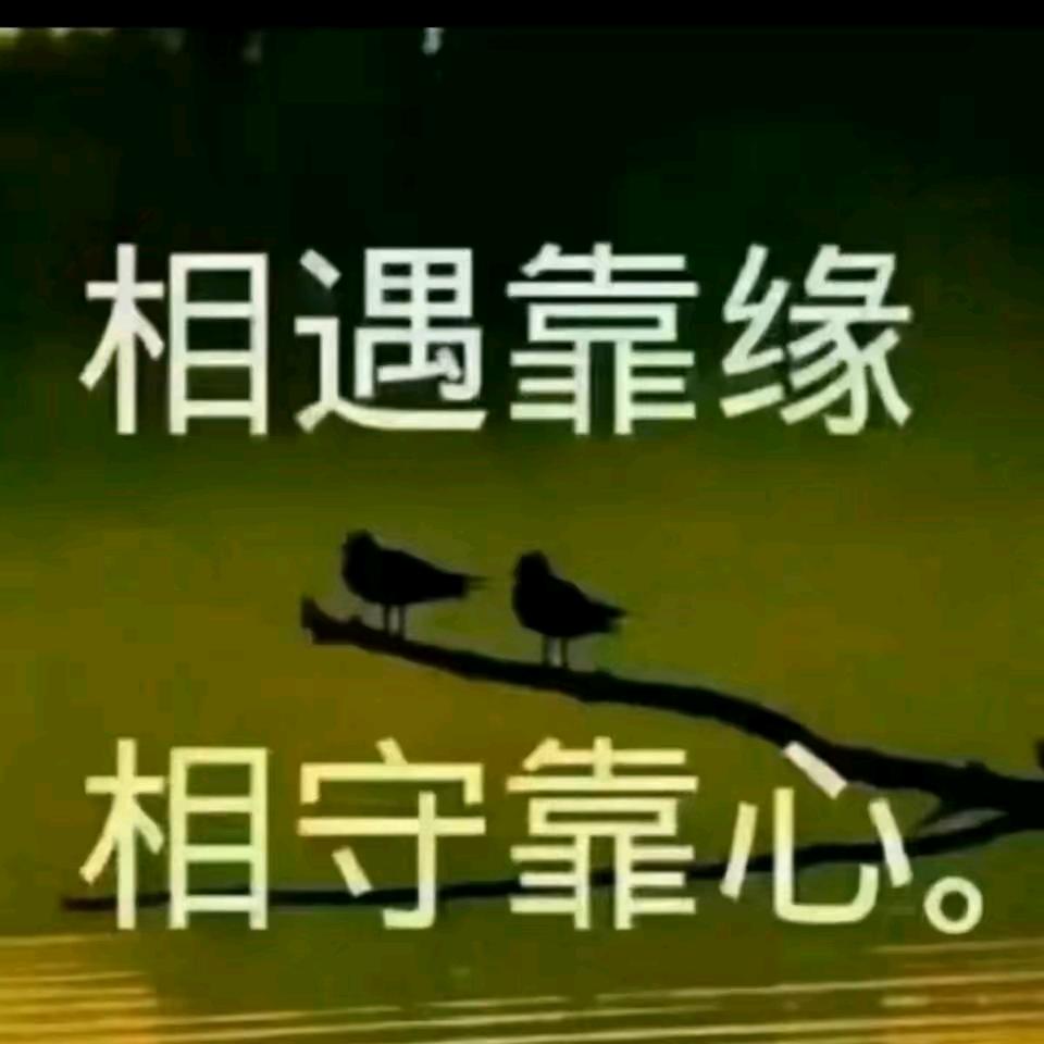 鸟王