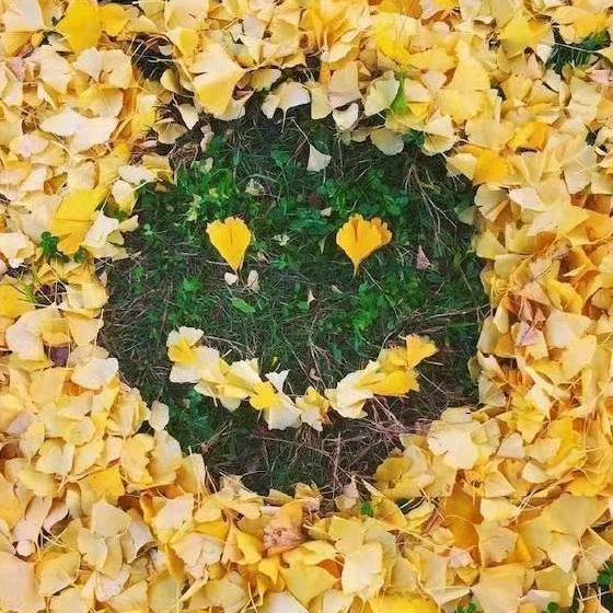 静候花开