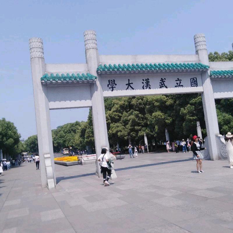 预测人生未来