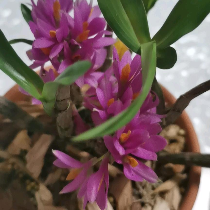 圈子不同别硬融