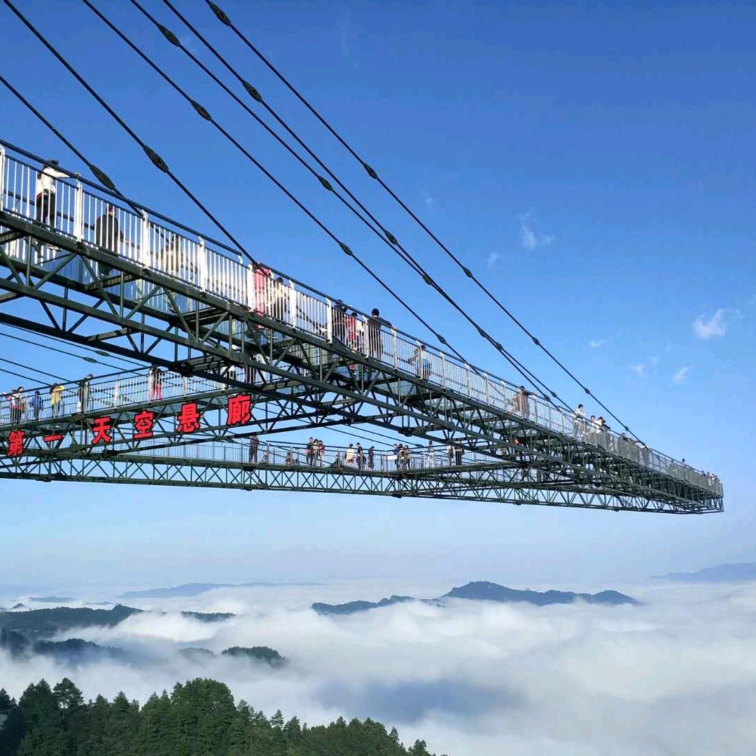 所长开门是我啊