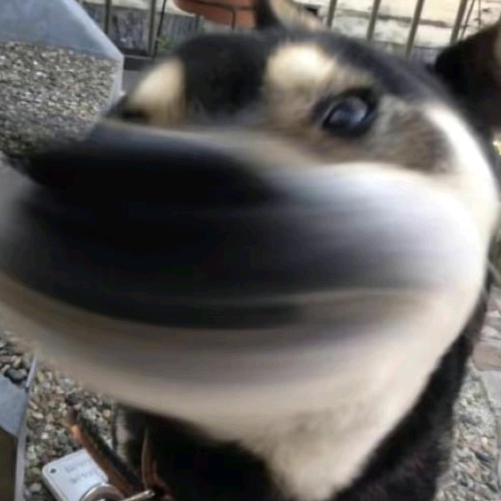 柟方