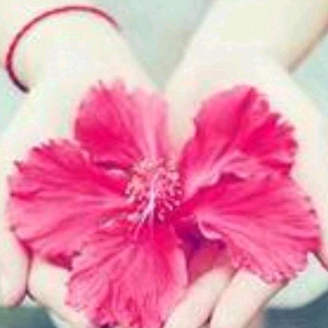 花仙子