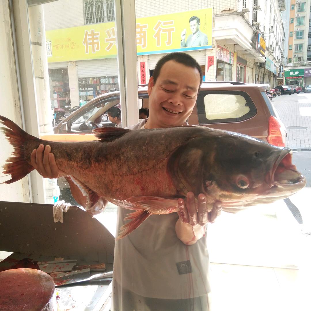 河源市源城区志强河鲜产品店