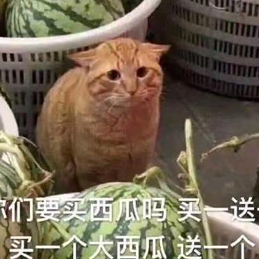 梦幻~自由