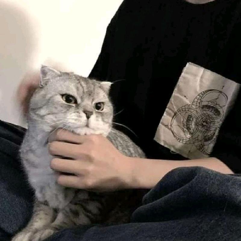 十七y