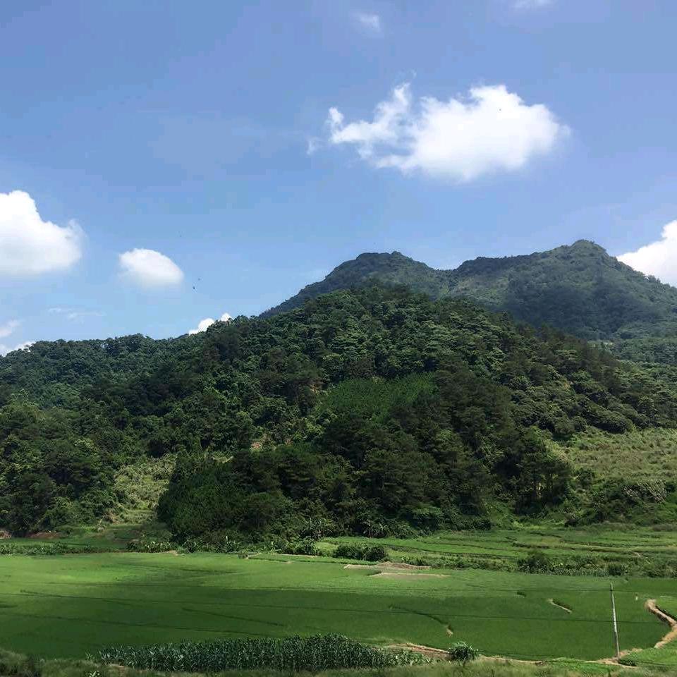 美风创意