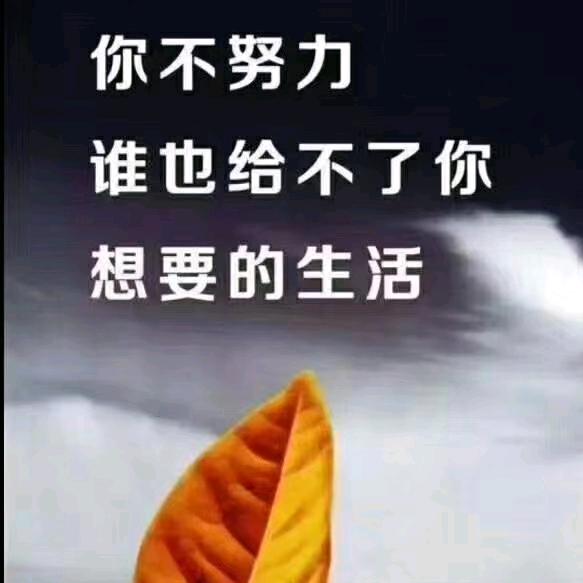 心如止水