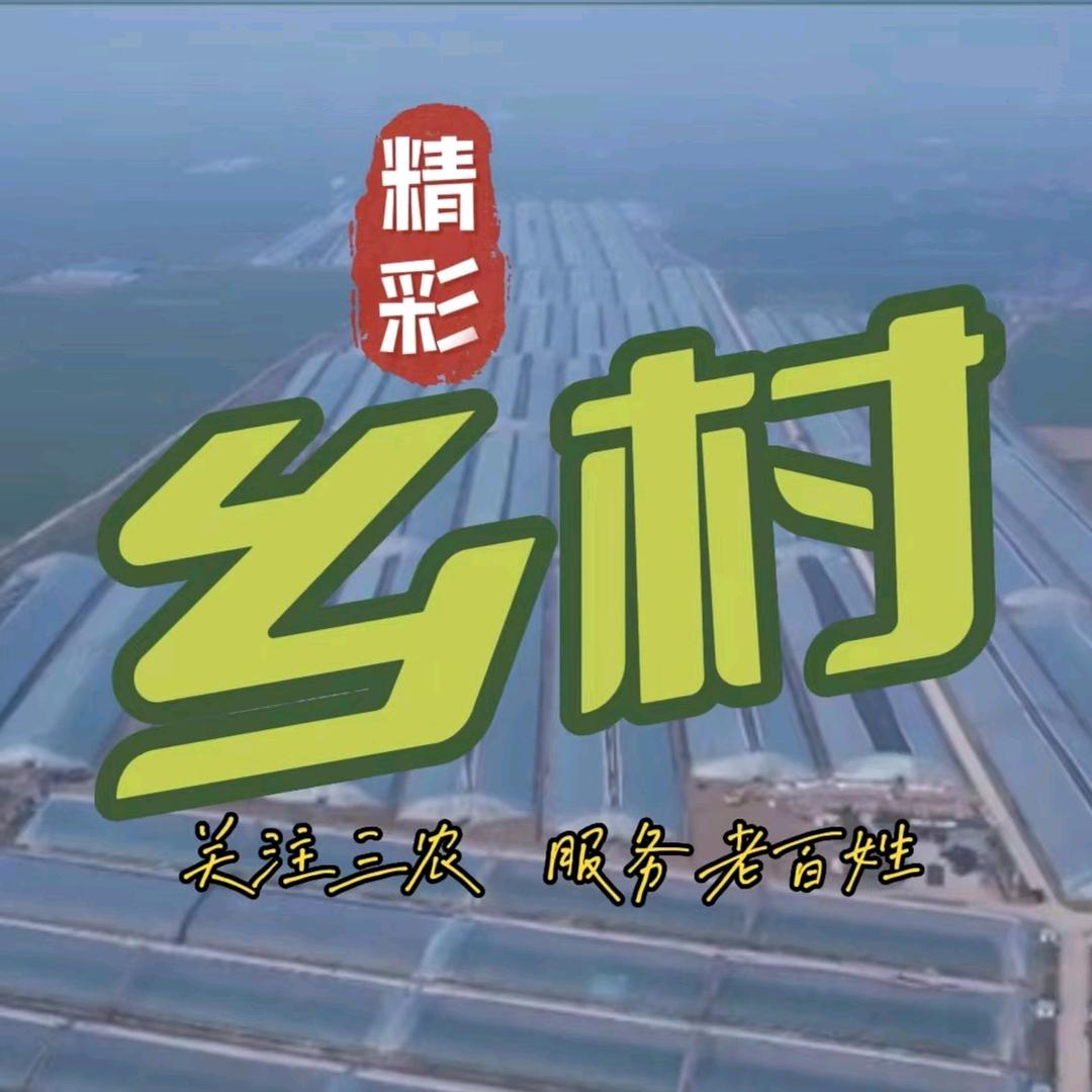 精彩乡村